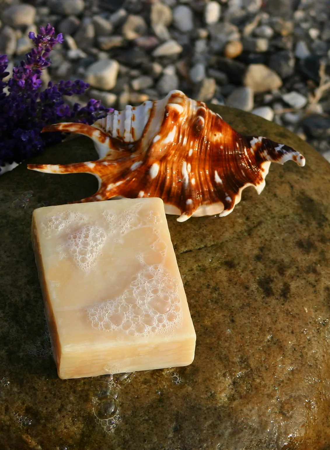 The original product photo